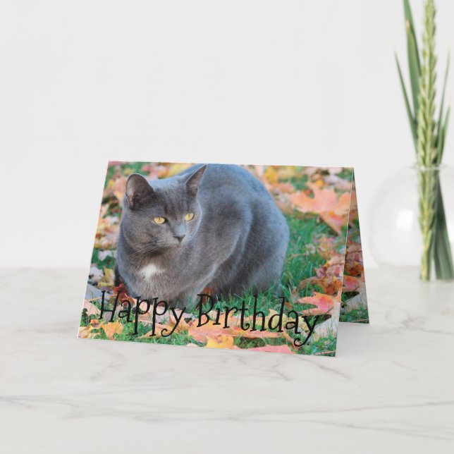 Tarjeta de gato colorida (Anverso)