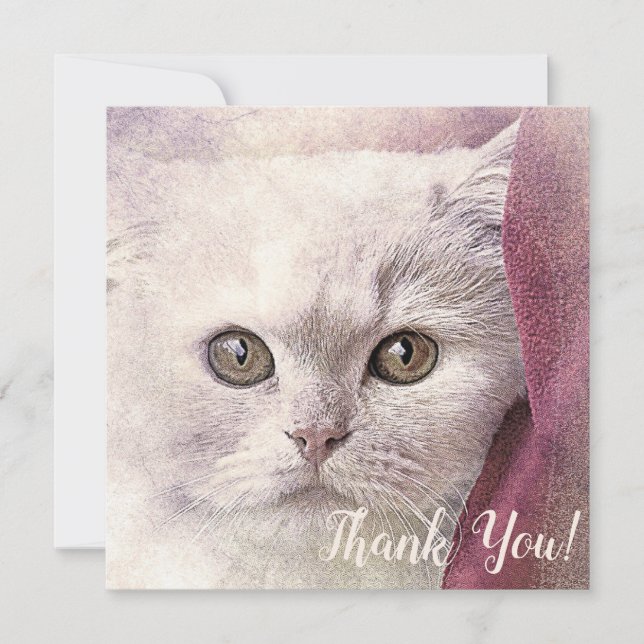 Tarjeta de gato de agradecimiento (Anverso)