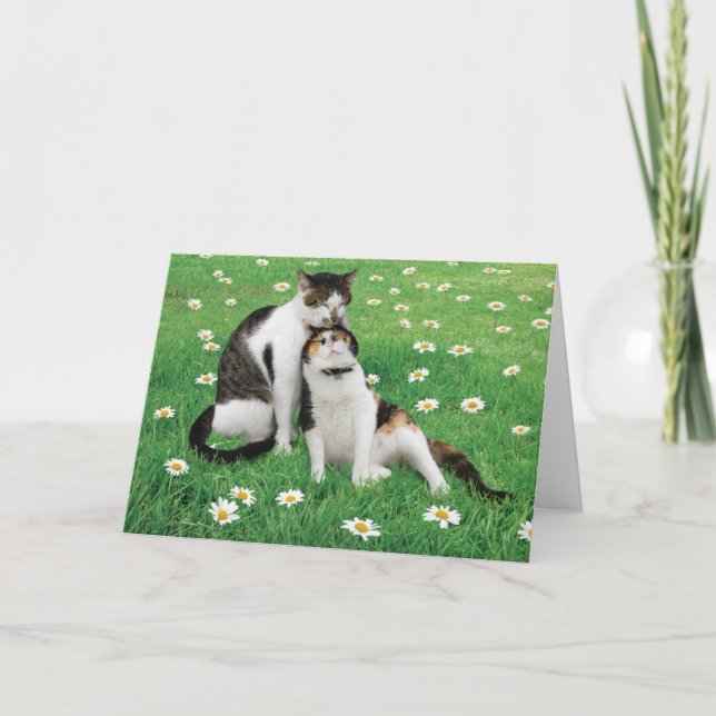Tarjeta de gato de aniversario de boda Divertida y (Anverso)