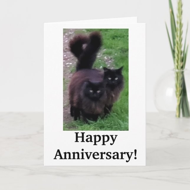 Tarjeta de gato de aniversario feliz (Anverso)