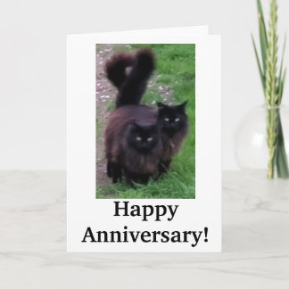 Tarjeta de gato de aniversario feliz
