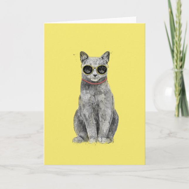 Tarjeta de gato de verano (Anverso)