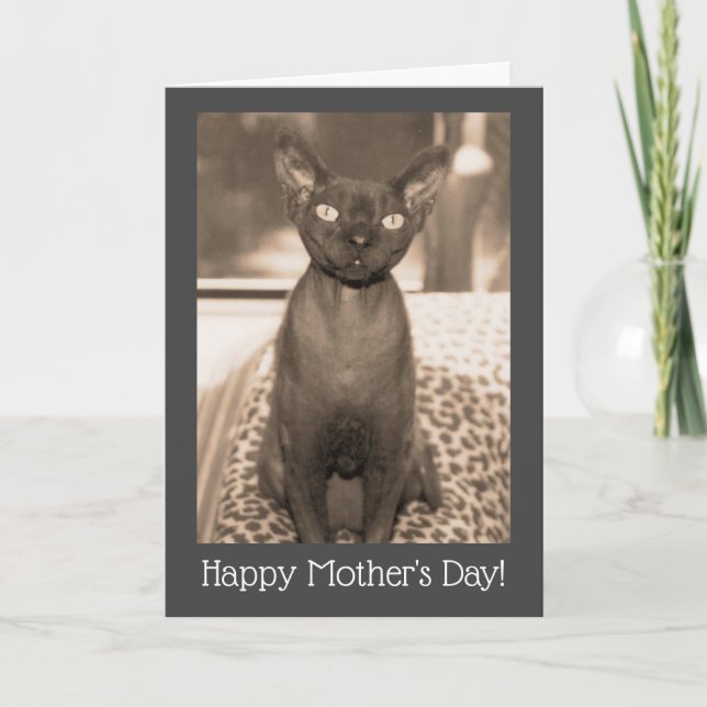 Tarjeta de gato del Día de la Madre | Devon Rex Fo (Anverso)