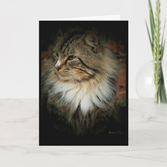 Tarjeta de gato forestal noruego que te extraña (Anverso)