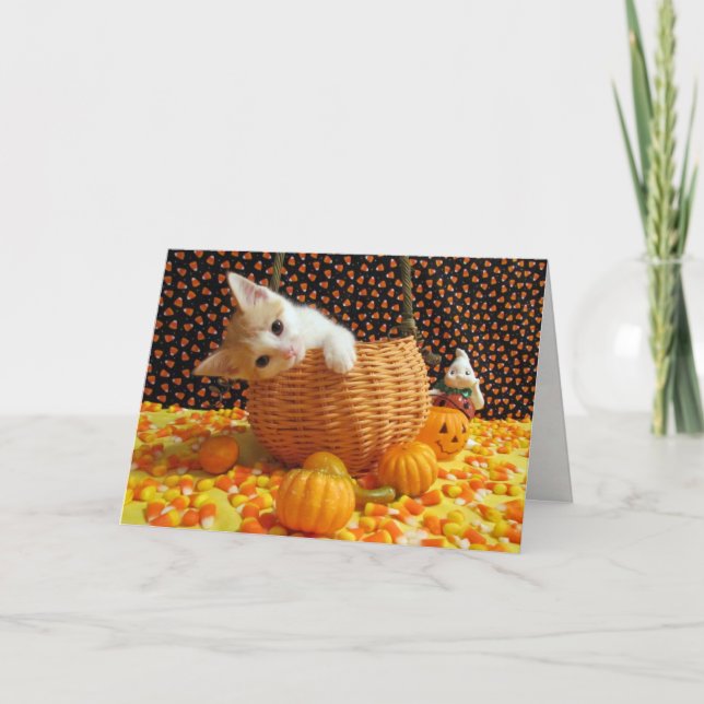Tarjeta de gato/gatito de Annie's Sweet Halloween (Anverso)