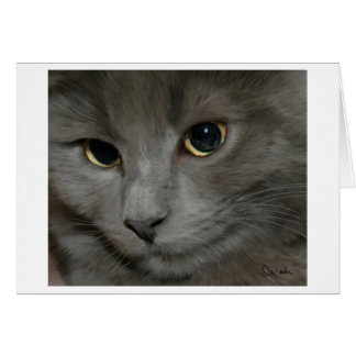 Tarjeta de gato gris