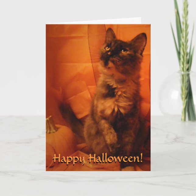 Tarjeta de gato Halloween (Anverso)