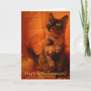 Tarjeta de gato Halloween