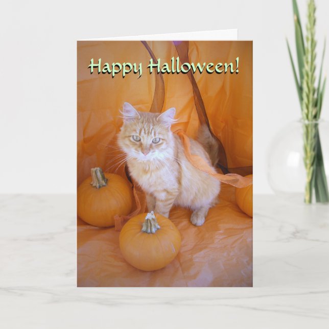 Tarjeta de gato Halloween (Anverso)