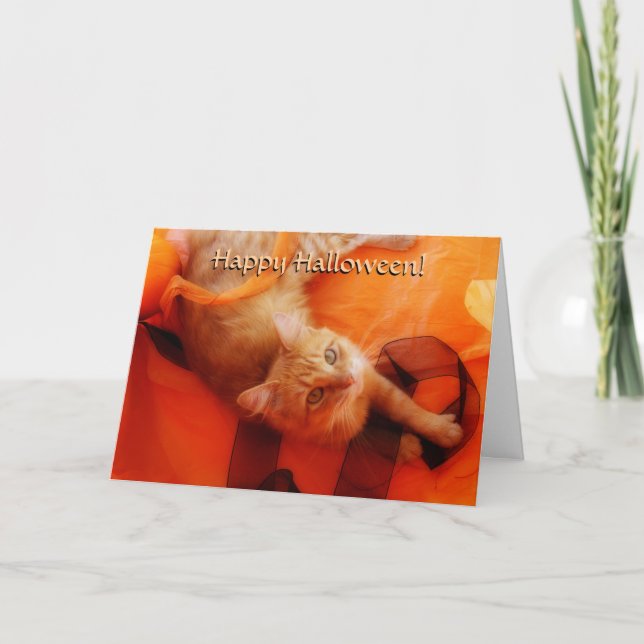 Tarjeta de gato Halloween (Anverso)