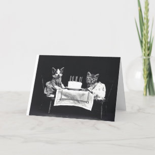 Tarjeta de gato Kitten Vintage "Pick of Liter"