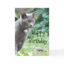 Tarjeta de gato Kitty