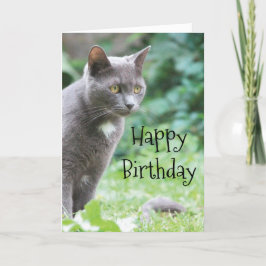 Tarjeta de gato Kitty