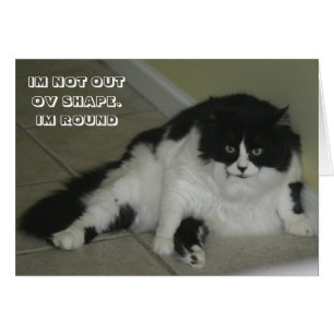 Tarjeta de gato LOL