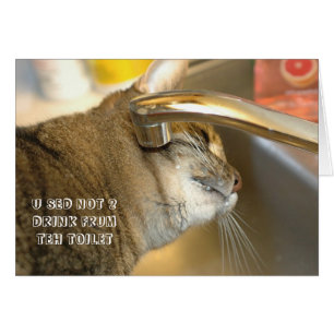Tarjeta de gato LOL