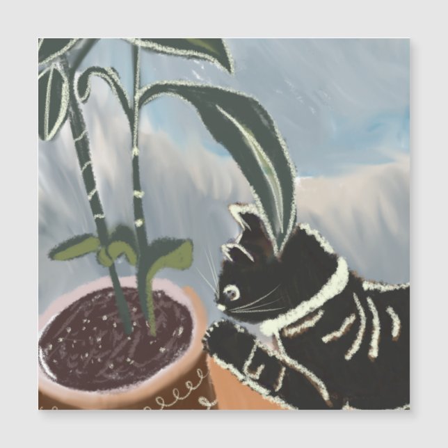 Tarjeta de gato mirando plantas de interior (Anverso)