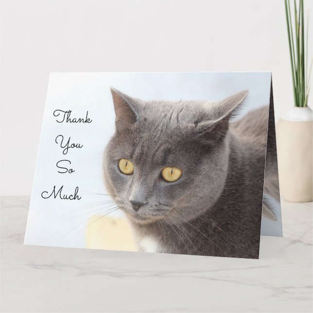 Tarjeta De Gato Muchas Gracias (Anverso)
