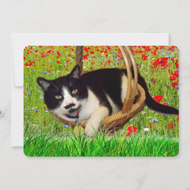 Tarjeta de gato negro esmoquin lindo (Anverso)