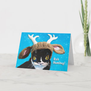 Tarjeta de gato no tan festiva