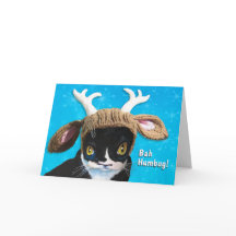 Tarjeta de gato no tan festiva