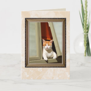 tarjeta de gato residencial de bienvenida
