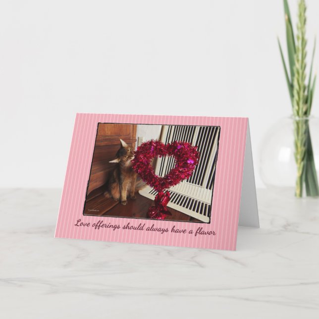 Tarjeta de gato somalí para ofertas de amor (Anverso)