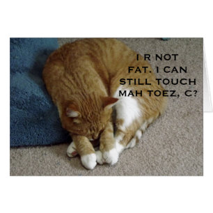 Tarjeta de gato Tabby, Naranja humorístico