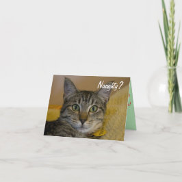 Tarjeta de gato traviesa o agradable
