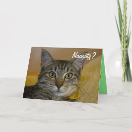 Tarjeta de gato traviesa o agradable