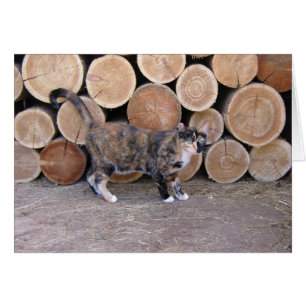 Tarjeta de gato y carpintería