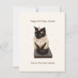Tarjeta de gatos de cumpleaños feliz
