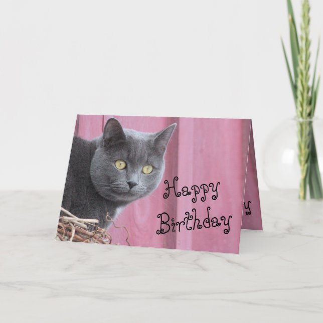 Tarjeta de gatos de cumpleaños feliz Kitty (Anverso)