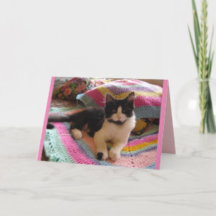 Tarjeta de gatos gato de esmoquin lindo durmiendo 