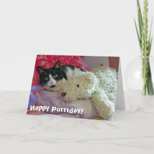 Tarjeta de gatos Happy Purrday