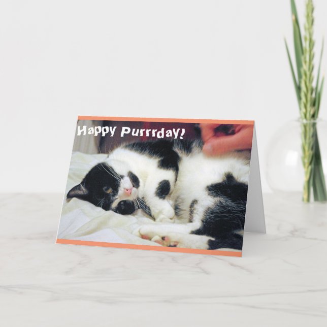 Tarjeta de gatos Happy Purrday (Anverso)