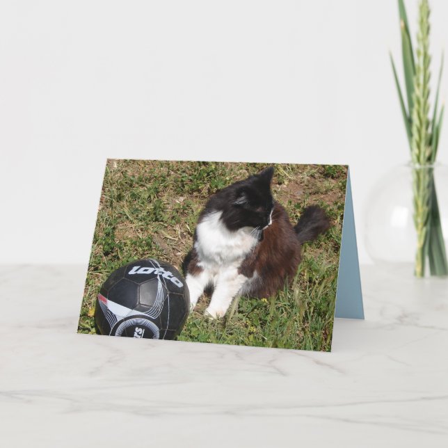 Tarjeta de gatos negros de Tuxedo jugando al fútbo (Anverso)