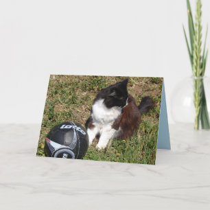 Tarjeta de gatos negros lindos gato esmoquin jugan