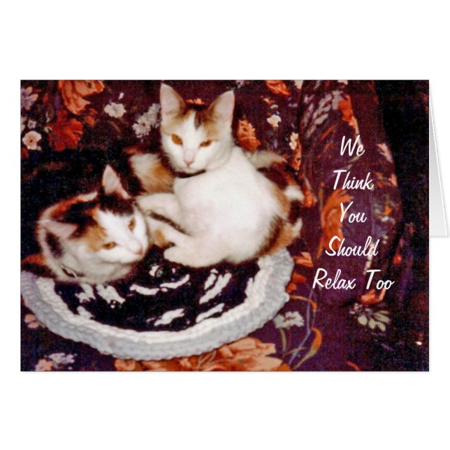 Tarjeta de Gatos Pensando (Anverso (Horizontal))
