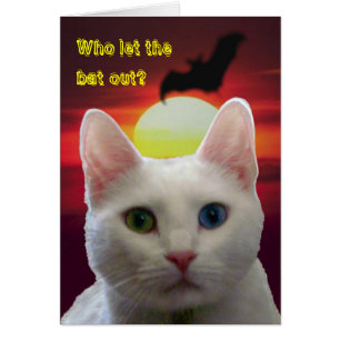 Tarjeta de gatos y murciélagos de serenidad - pers