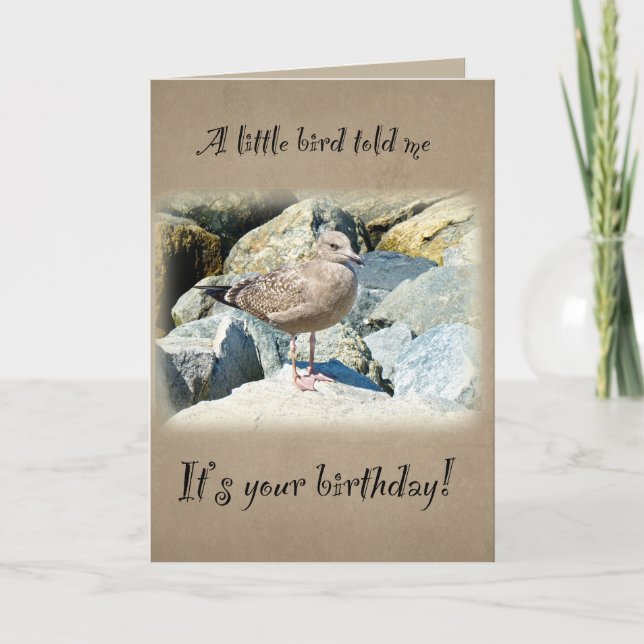 Tarjeta de gaviota de cumpleaños (Anverso)