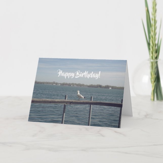 Tarjeta de gaviota feliz cumpleaños (Anverso)