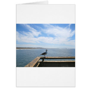 Tarjeta de gaviota panorámica