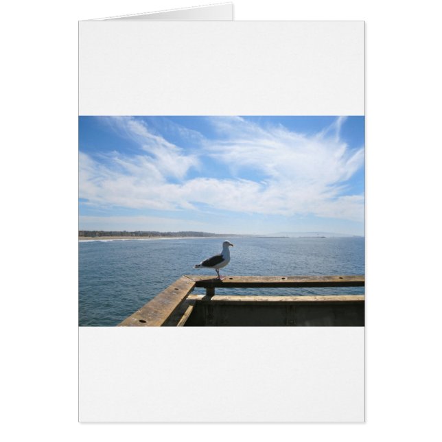 Tarjeta de gaviota panorámica (Frente)