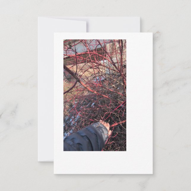 Tarjeta de Geocache Troll (Anverso)