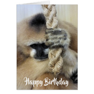 TARJETA DE GIBBON