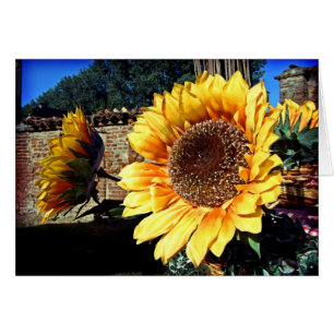 Tarjeta de girasol