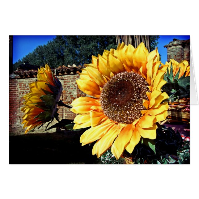 Tarjeta de girasol (Anverso (Horizontal))