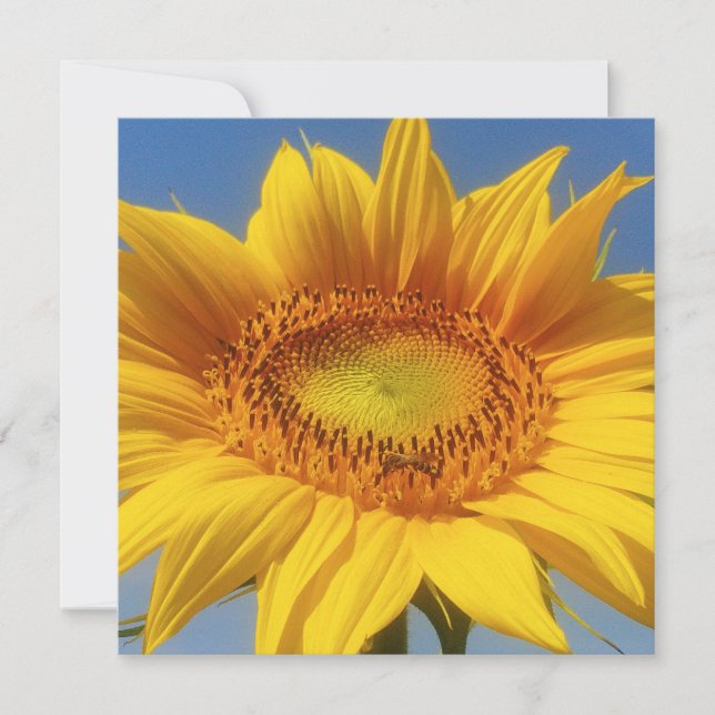 Tarjeta de girasol amarilla (Anverso)