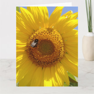Tarjeta de girasol amarilla