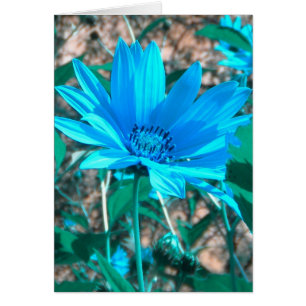 Tarjeta de girasol azul silvestre *personalizar*